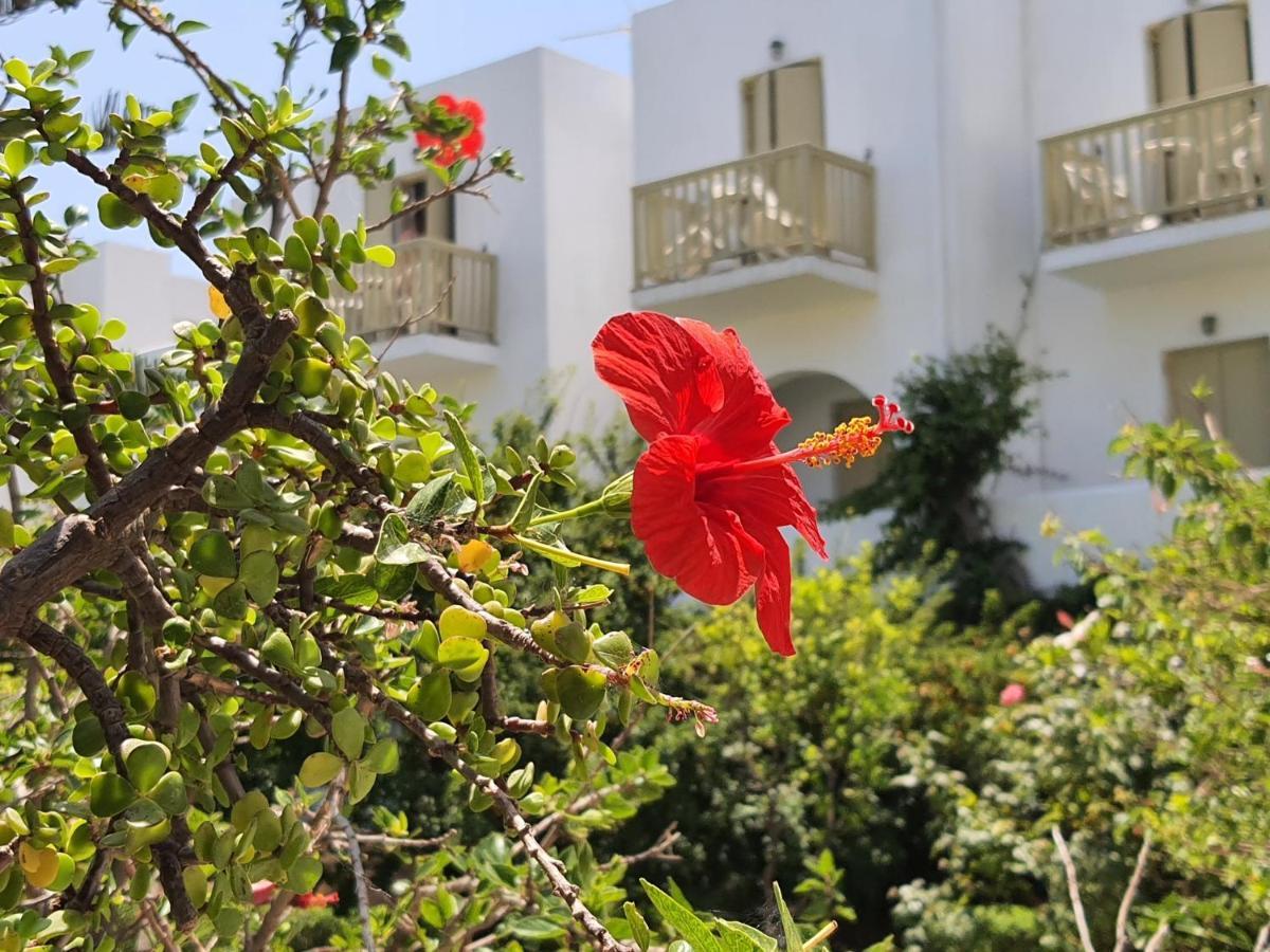 Vidalis Hotel Kionia Eksteriør billede
